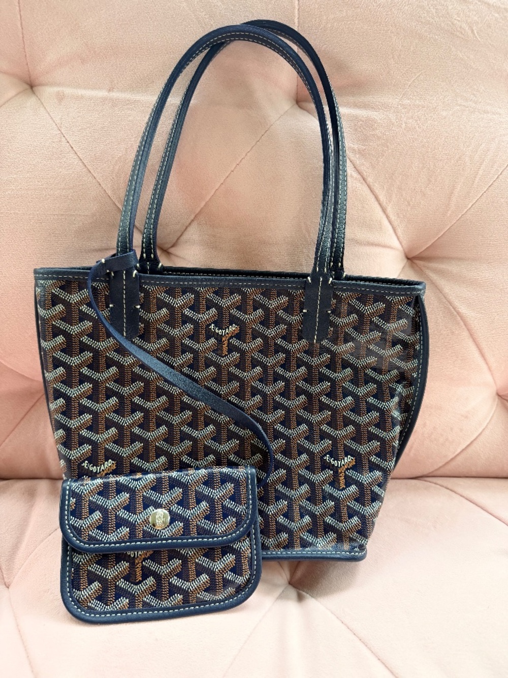 Goyard Mini Anjou Tote Bag